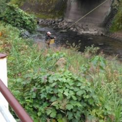 大井川(大井川(非)漁業協同組合) 釣果