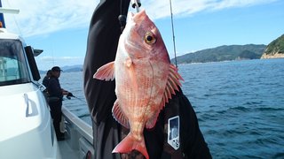 愛裕南丸 釣果