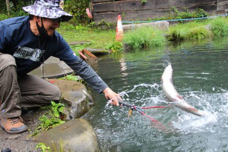 小菅トラウトガーデン 釣果