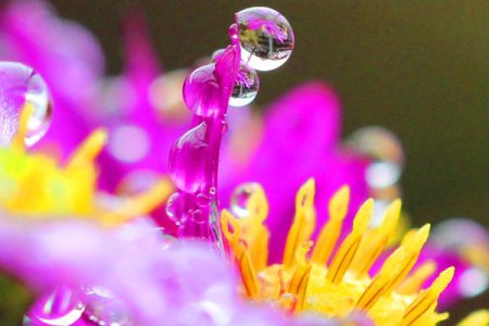 小菅トラウトガーデン 釣果