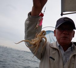 遊漁船 幸友丸 釣果