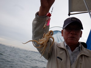 遊漁船 幸友丸 釣果