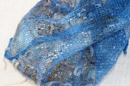 松本釣船２ 釣果