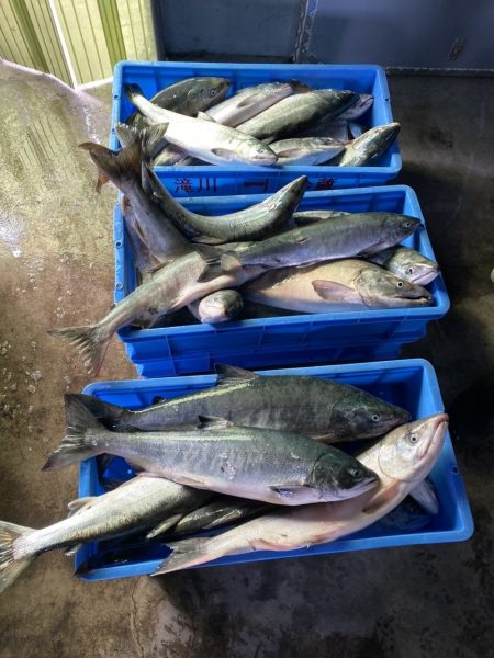 第八平成丸 釣果