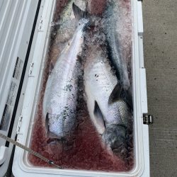 第八平成丸 釣果