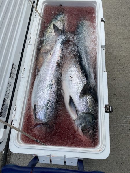 第八平成丸 釣果