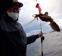 遊漁船 幸友丸 釣果