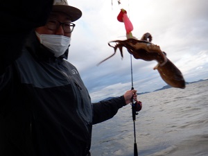 遊漁船 幸友丸 釣果