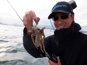 遊漁船 幸友丸 釣果