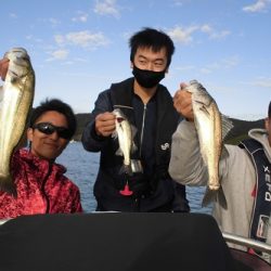 ルアー船マヒマヒ 釣果