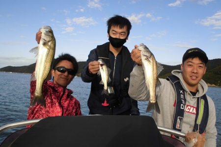 ルアー船マヒマヒ 釣果