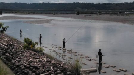 大井川(大井川(非)漁業協同組合) 釣果