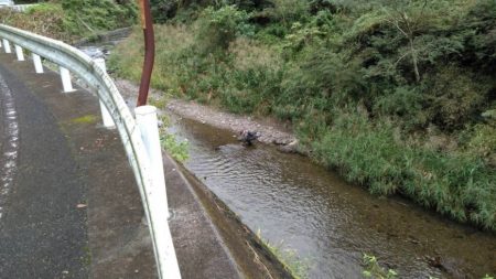 大井川(大井川(非)漁業協同組合) 釣果
