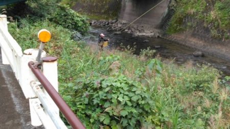 大井川(大井川(非)漁業協同組合) 釣果