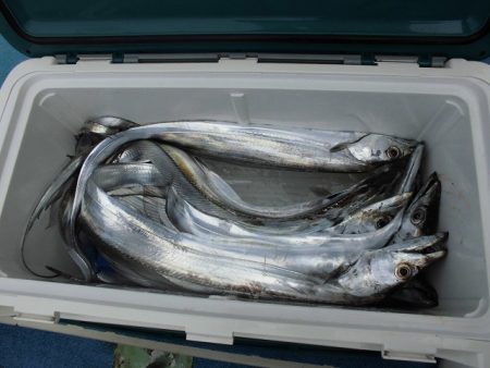 十八宝洋丸 釣果