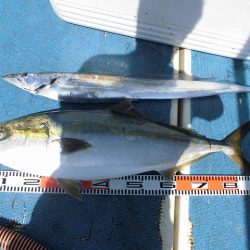 十八宝洋丸 釣果