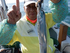 遊漁船 幸友丸 釣果