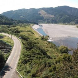 大井川(大井川(非)漁業協同組合) 釣果