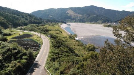 大井川(大井川(非)漁業協同組合) 釣果