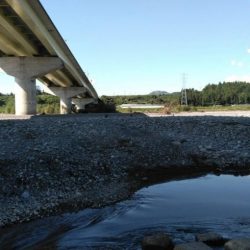 大井川(大井川(非)漁業協同組合) 釣果