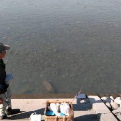 大井川(大井川(非)漁業協同組合) 釣果