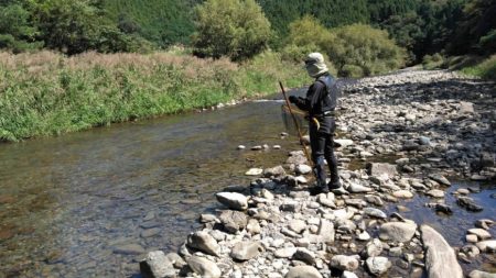 大井川（大井川(非)漁業協同組合） 釣果