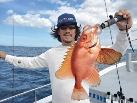 ブルーピア 釣果