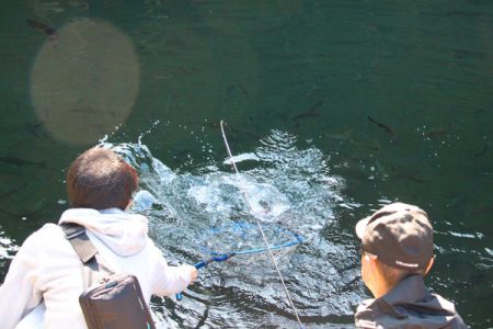 小菅トラウトガーデン 釣果