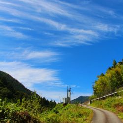 小菅トラウトガーデン 釣果