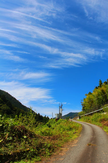 小菅トラウトガーデン 釣果