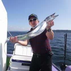 川崎丸 釣果