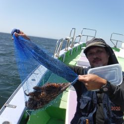 川崎丸 釣果