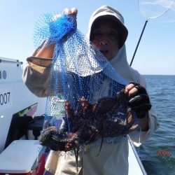 川崎丸 釣果