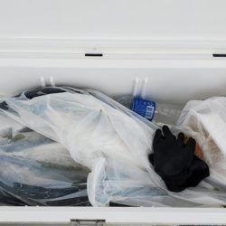 遊漁船 ニライカナイ 釣果