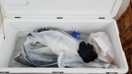 遊漁船 ニライカナイ 釣果