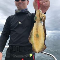 Magic(マジック) 釣果