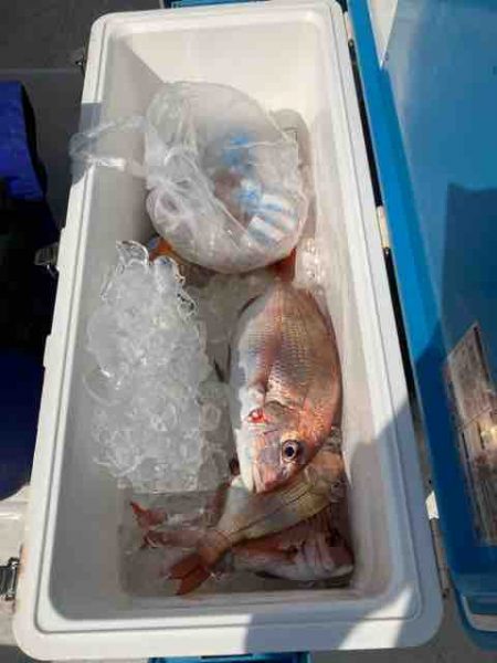 龍宮丸 釣果