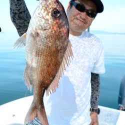 Marine T Design マリンティーデザイン 釣果