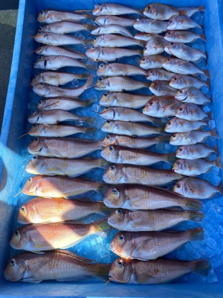 まるいち丸 ZERO-1 釣果