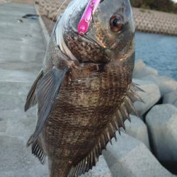 トップゲーム!!