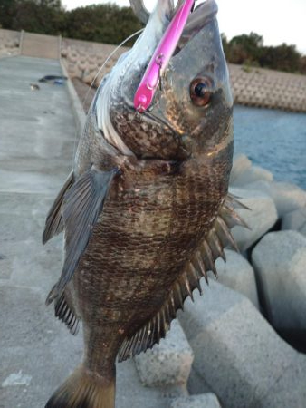 トップゲーム！！