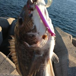 トップゲーム!!