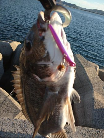 トップゲーム!!