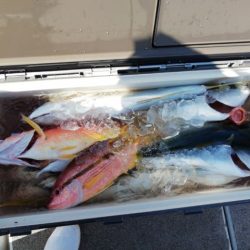 第二大福丸 釣果