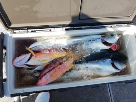 第二大福丸 釣果