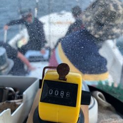 Magic(マジック) 釣果