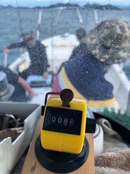 Magic(マジック) 釣果