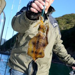 Marine T Design マリンティーデザイン 釣果