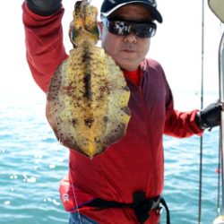 Marine T Design マリンティーデザイン 釣果