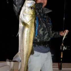 Marine T Design マリンティーデザイン 釣果